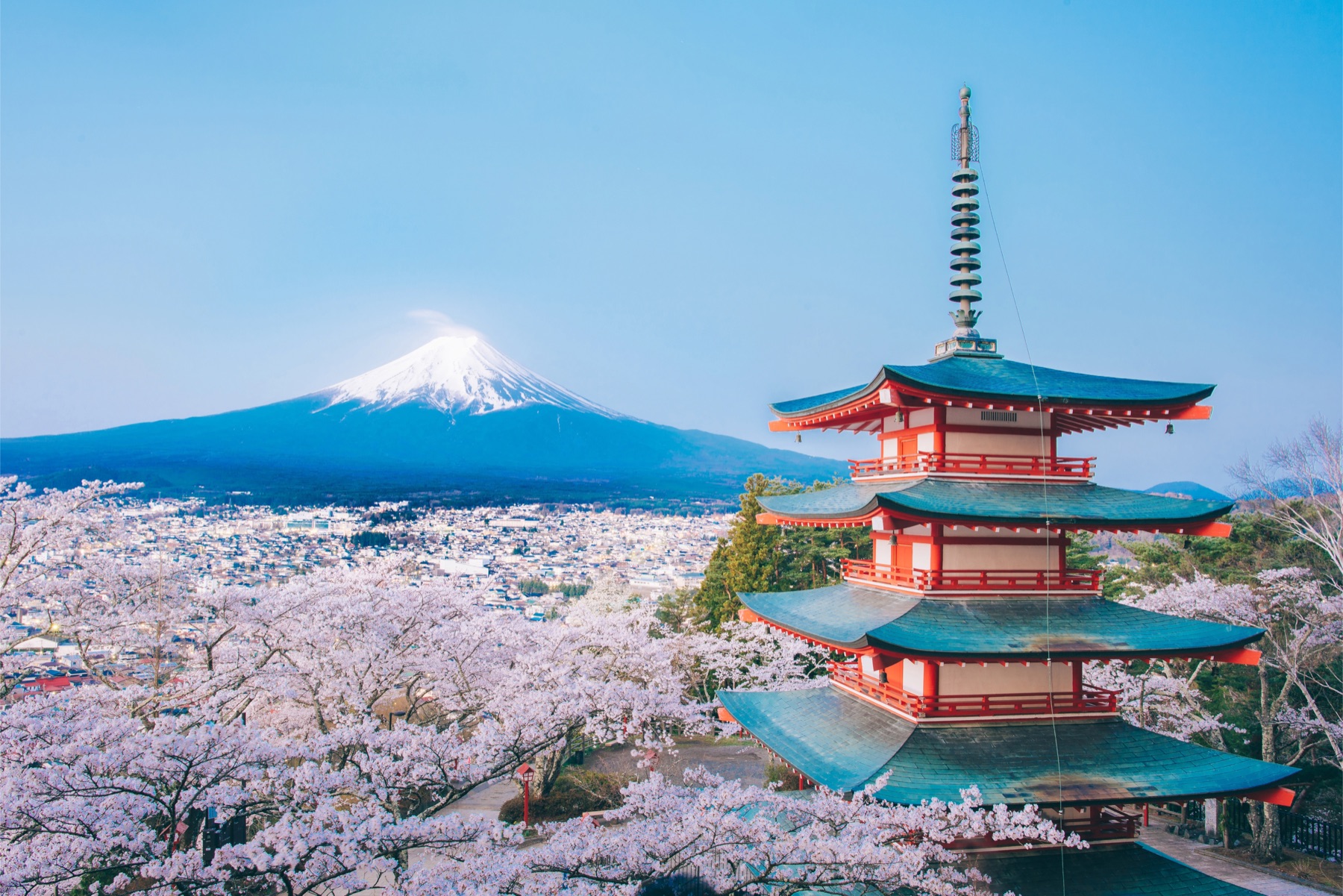 Mt Fuji with a five-storey pagoda and cherry blossoms