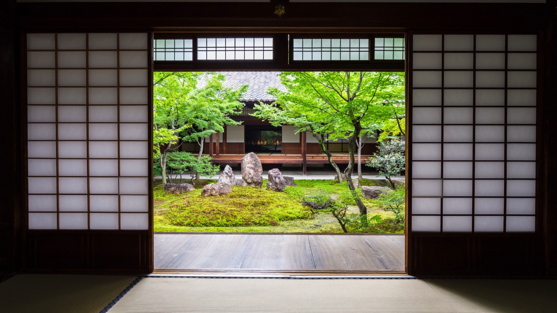 A serene Japanese temple garden seen through shoji doors